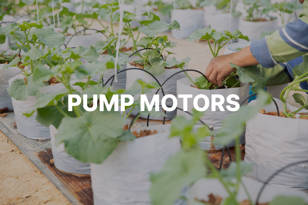 Pump Motors