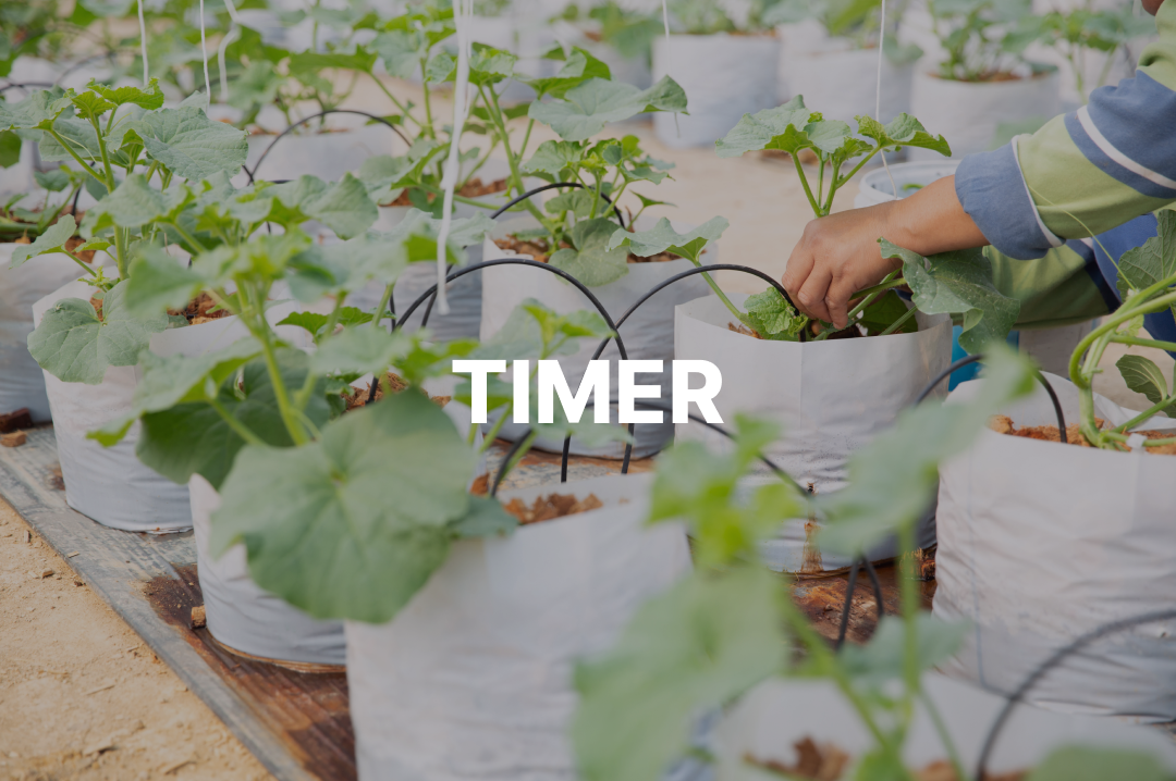Timer